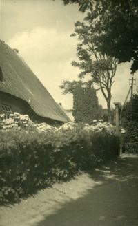 Ahlf&#039;s Hof, Haus Nr. 184 mit dem Storchennest, v. Osten auf den Vorgarten, um 1930